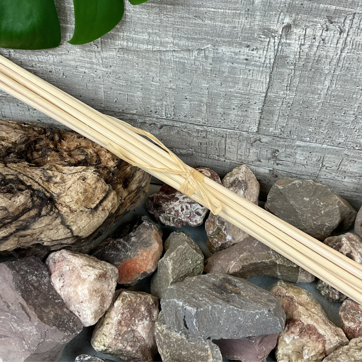 EBS06 Grapefruit & Mimosa Reed Diffuser (3).png