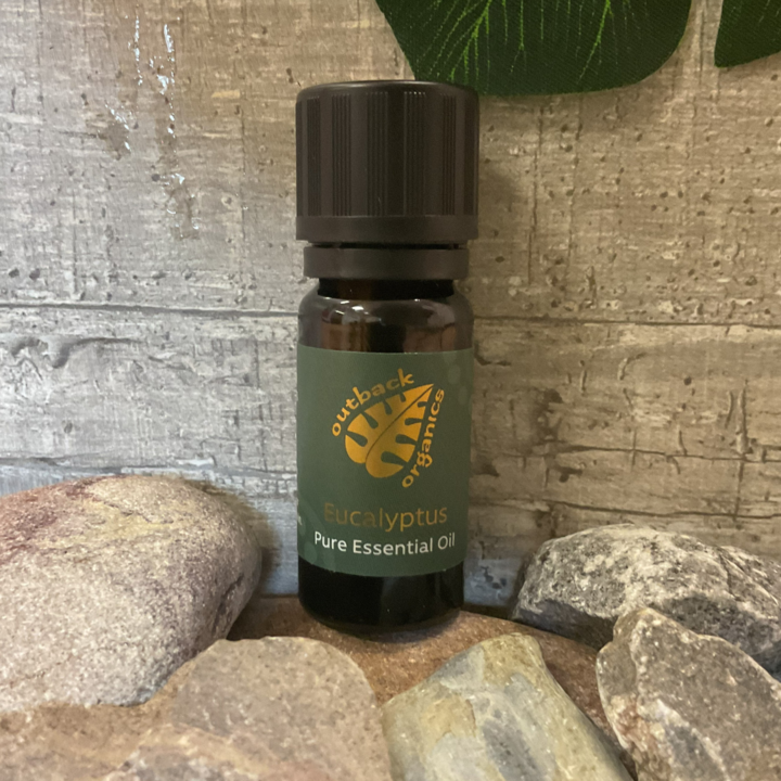 Essential Oil - Eucalyptus 10ml